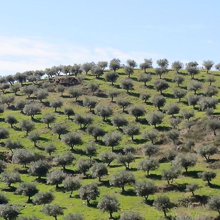 Agroturismo Casal De Castro Avantos Εξωτερικό φωτογραφία