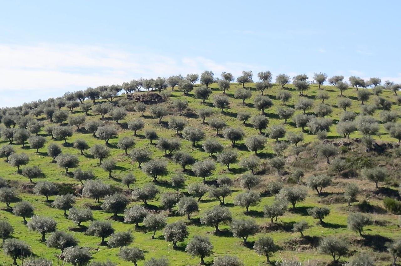 Agroturismo Casal De Castro Avantos Εξωτερικό φωτογραφία