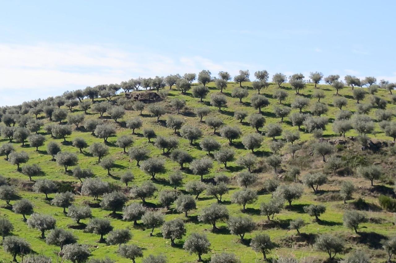 Agroturismo Casal De Castro Βίλα Avantos Εξωτερικό φωτογραφία